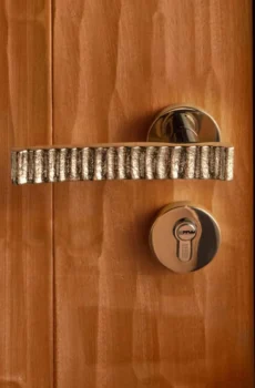 Elegant Textured Door Handle Luxury Brass Door Hardware Titanium Silver Door Lock